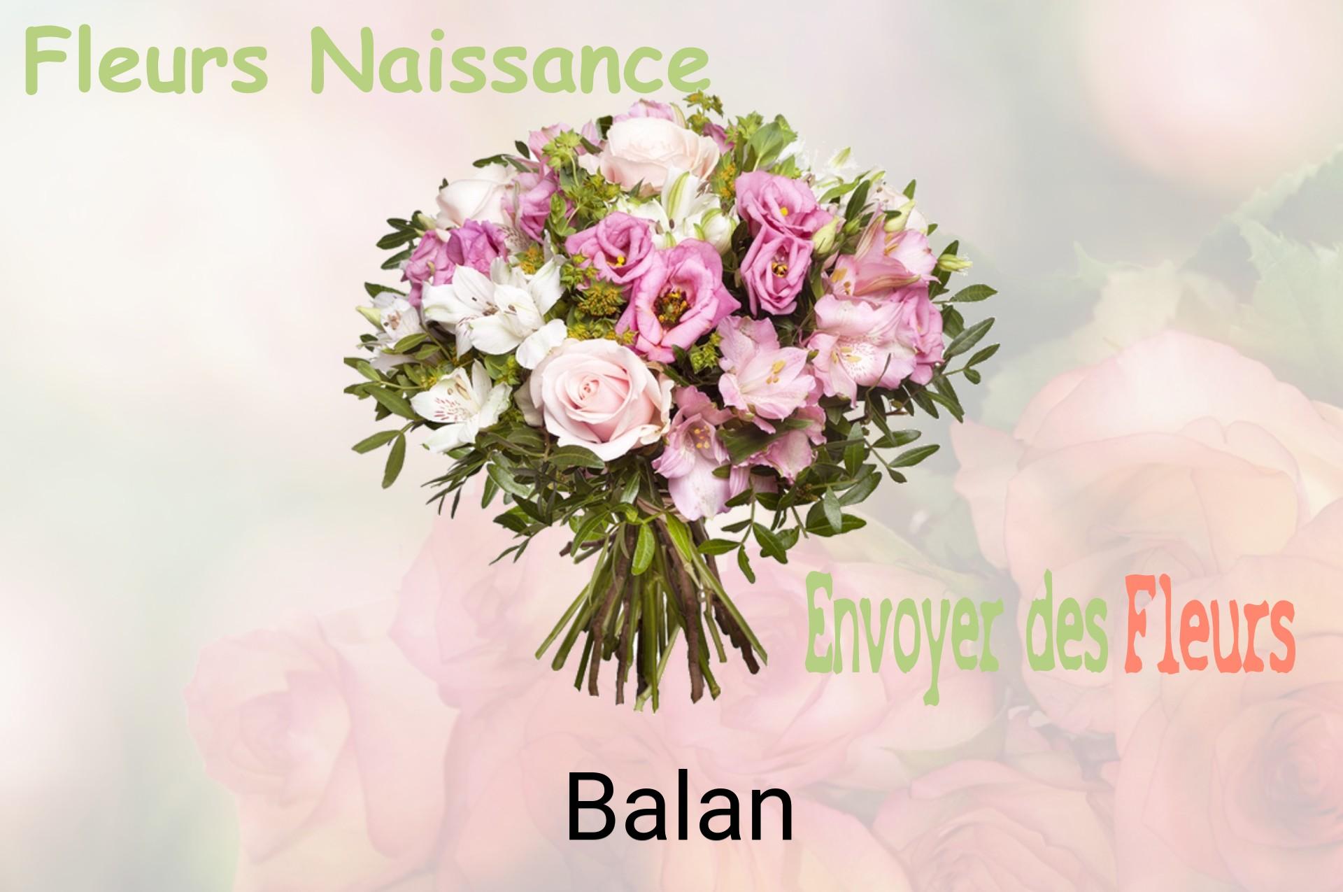 Bouquet de fleurs de naissance livré à Balan