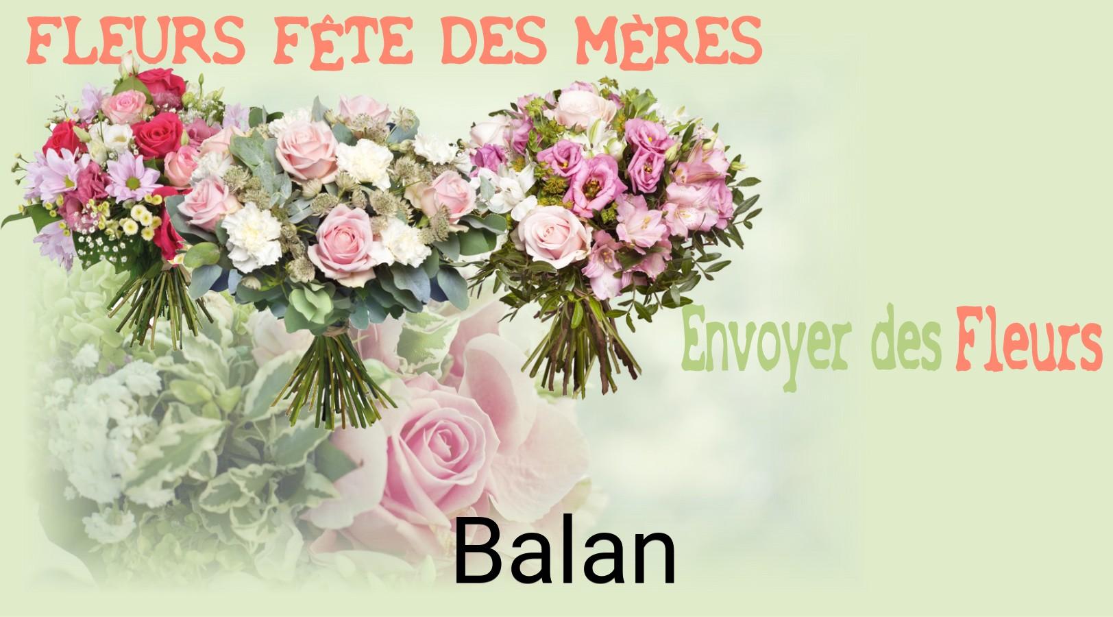 Bouquet de Fête des Mères livré à Balan